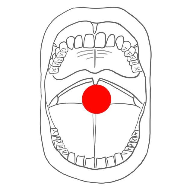 oral   =   zur Mundhöhle hin 

- alle Innenflächen